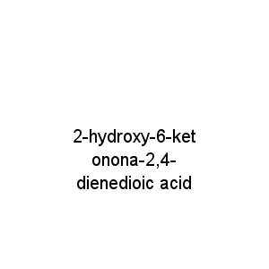 2-hydroxy-6-ketonona-2,4- dienedioic acid